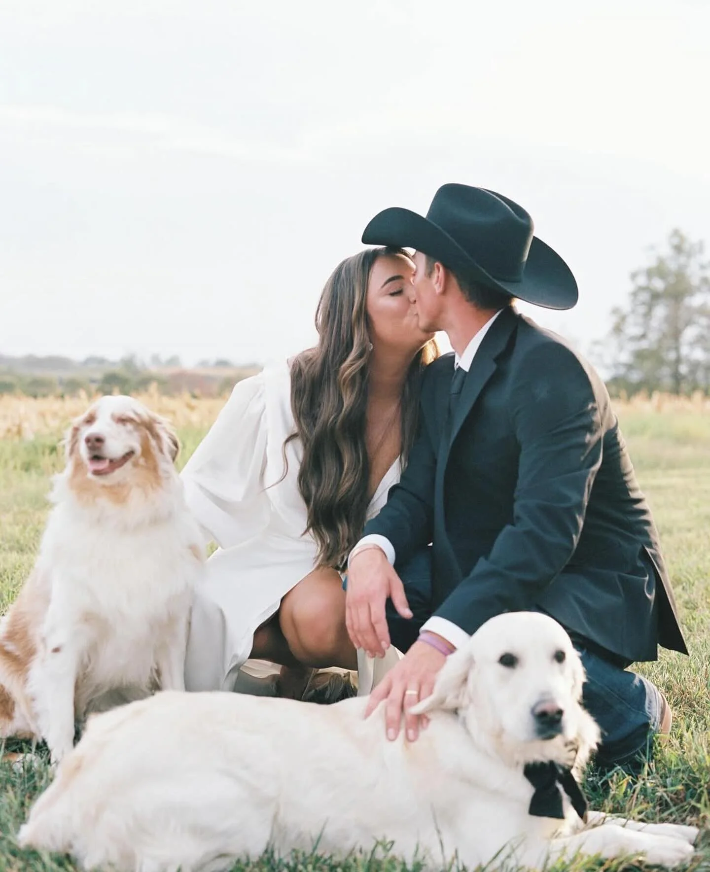 Bride and groom kissing in a field with their dogs